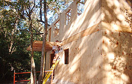 Plywood Cladding